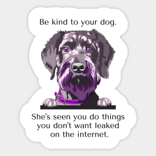 Schoodle Be Kind To Your Dog. She's Seen You Do Things You Don't Want Leaked On The Internet. Sticker